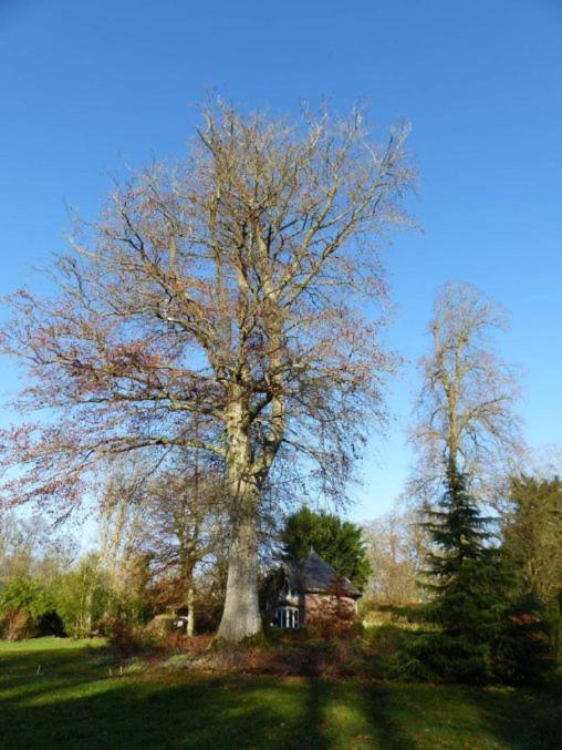 Appartement Édouard André dans château XIX ème Bracquetuit Exterior foto